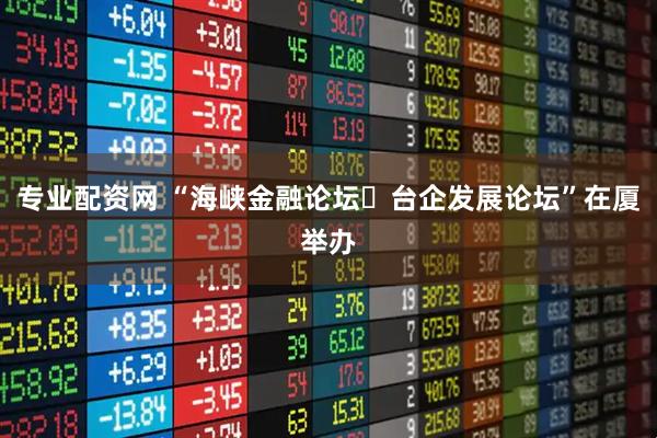 专业配资网 “海峡金融论坛・台企发展论坛”在厦举办