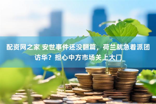 配资网之家 安世事件还没翻篇，荷兰就急着派团访华？担心中方市场关上大门