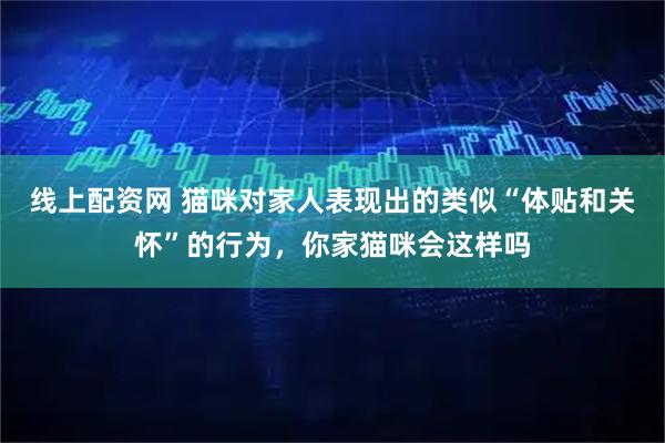线上配资网 猫咪对家人表现出的类似“体贴和关怀”的行为，你家猫咪会这样吗